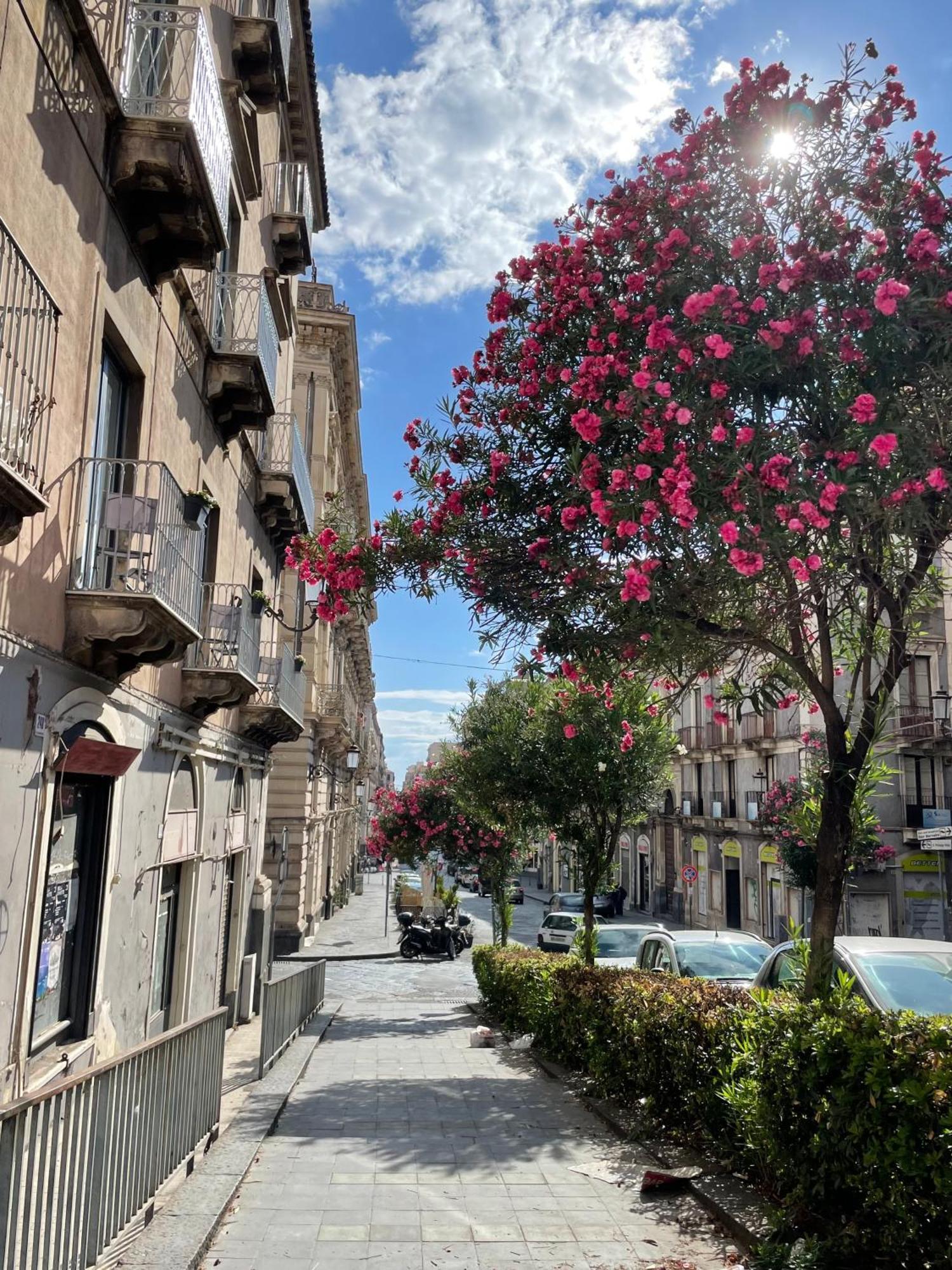 Opera Boutique Bed and Breakfast Κατάνια Εξωτερικό φωτογραφία